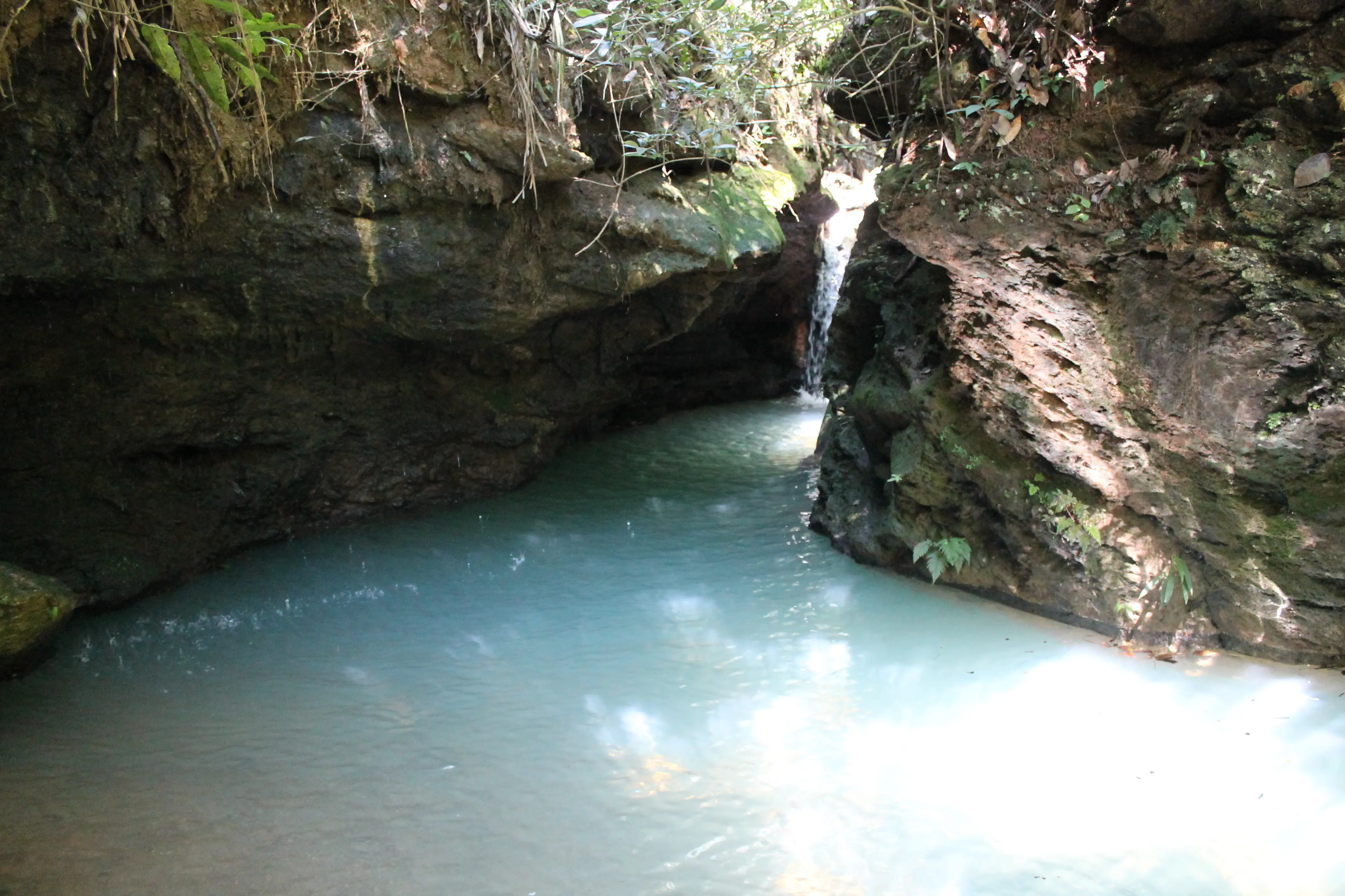 Área natural e paisagem rural da propriedade
